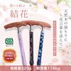 Habilis Folding Cane for Women, Lightweight and Stylish, Suitable for Elderly Care, SG Certified, Walking Aid, Wooden, Gift, Made of Solid Karin Wood