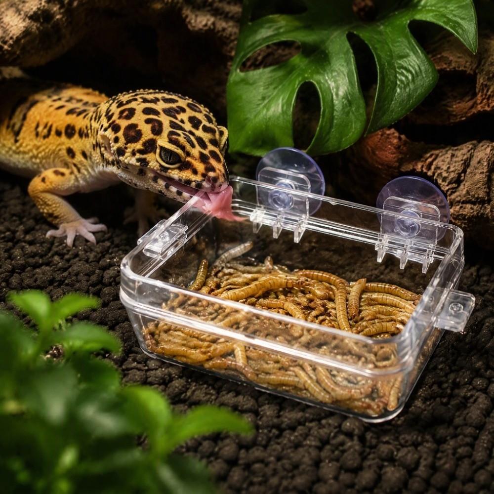 Transparent Worm Feeding Basin ABS Reptile Food Bowl Convenient Anti Escape Feeder Lizard