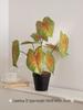 Artificial Green Plants for Indoor Decor – Potted Ornaments for Living Room or Coffee Table
