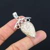 Pear Root Chakra Natural Fossil Coral Elegant Pendant Jewelry Sterling Silver