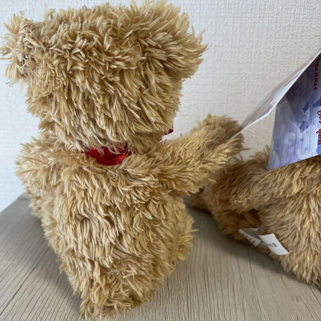 [USED] Teddy Bear CE Mark