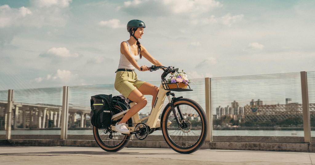 MIHOGO AIR 48V 19.2ah Carbon Fiber Long-Range Electric Bicycle,26-inch,750W Motor,Maximum Assist Range Up To 190km.
