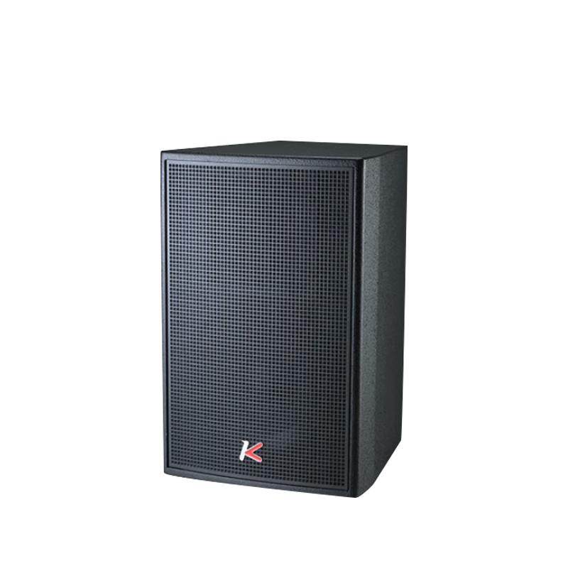 Professional Karaoke Speaker
