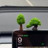 Miniature Money Tree Car & Desktop Ornament with Simulated Moss