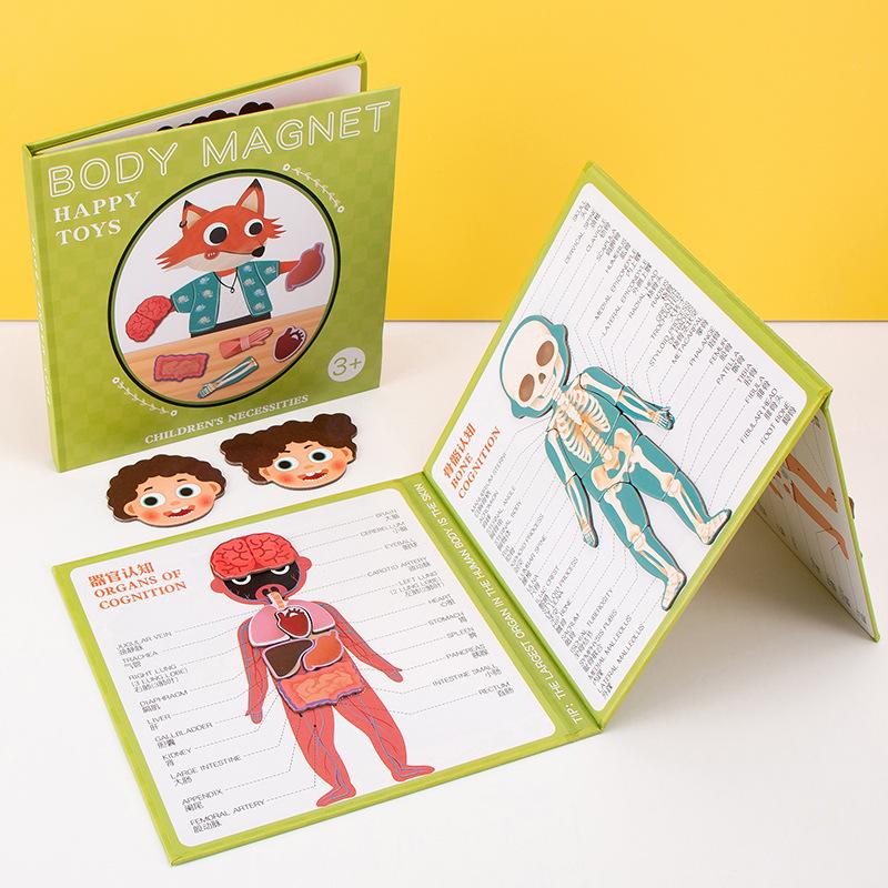 Magnetic Human Body Learning Book: Skeleton & Organs for Kids