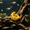 Moon Aquarium Hideout Cave Fish Tank Moon Ornament Multi-Hole Aquarium Hideout Tunnel for Small Fish And Shrimps