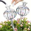 1/2Pcs Pomegranate Flower Watering Machine Glass Creative Modeling Watering Machine Pot Lazy Watering Machine Tulip Waterer
