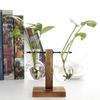 Hydroponic Vase with Wooden Stand Retro Glass Bulb Plant Propagation Station for Home Decoration 2 Containers