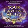 Your Crystal Allies by Tracee Dunblazier Paperback Book 9780999362365