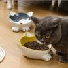 Ruhan Cute Ceramic Pet Feeding Bowl