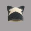 Autumn and winter new five-pointed star star embroidery adult wool cap fashion sweet and spicy cat ears warm hat