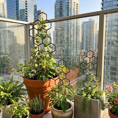2pcs Honeycomb Plant Climbing Frame (38x15cm) – Space-Saving Support for Potted Vines & Flowers