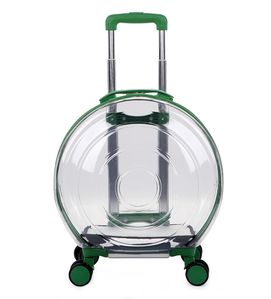 Valise transparente pour animaux de compagnie, grande capacité, valise de voyage pour chien, boîte à bulles Portable d'extérieur, boîte d'aviation 