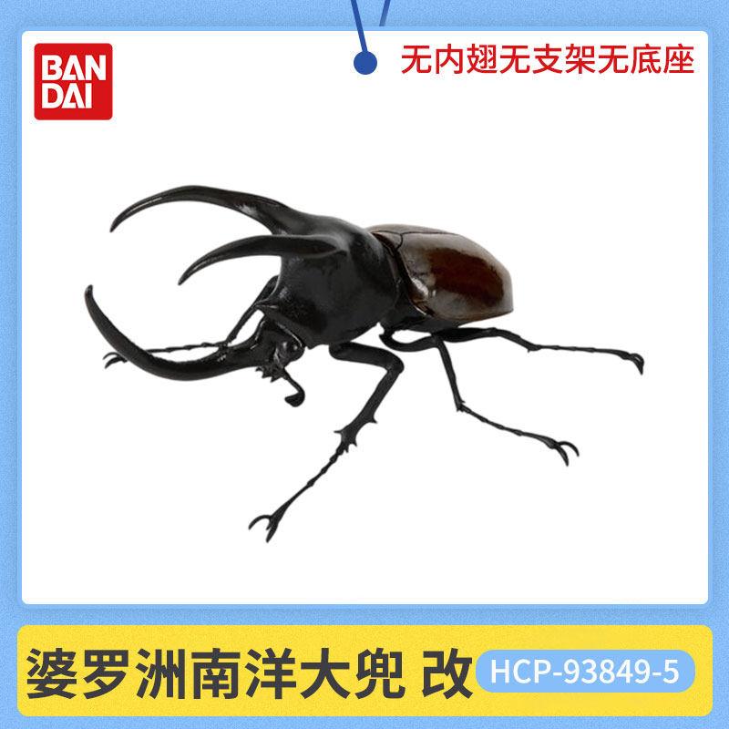 Beetle Insect Model Articulated Realistic 10 Joints Desktop Decor Ornament Chalcosoma Chiron Dynastes Grantii