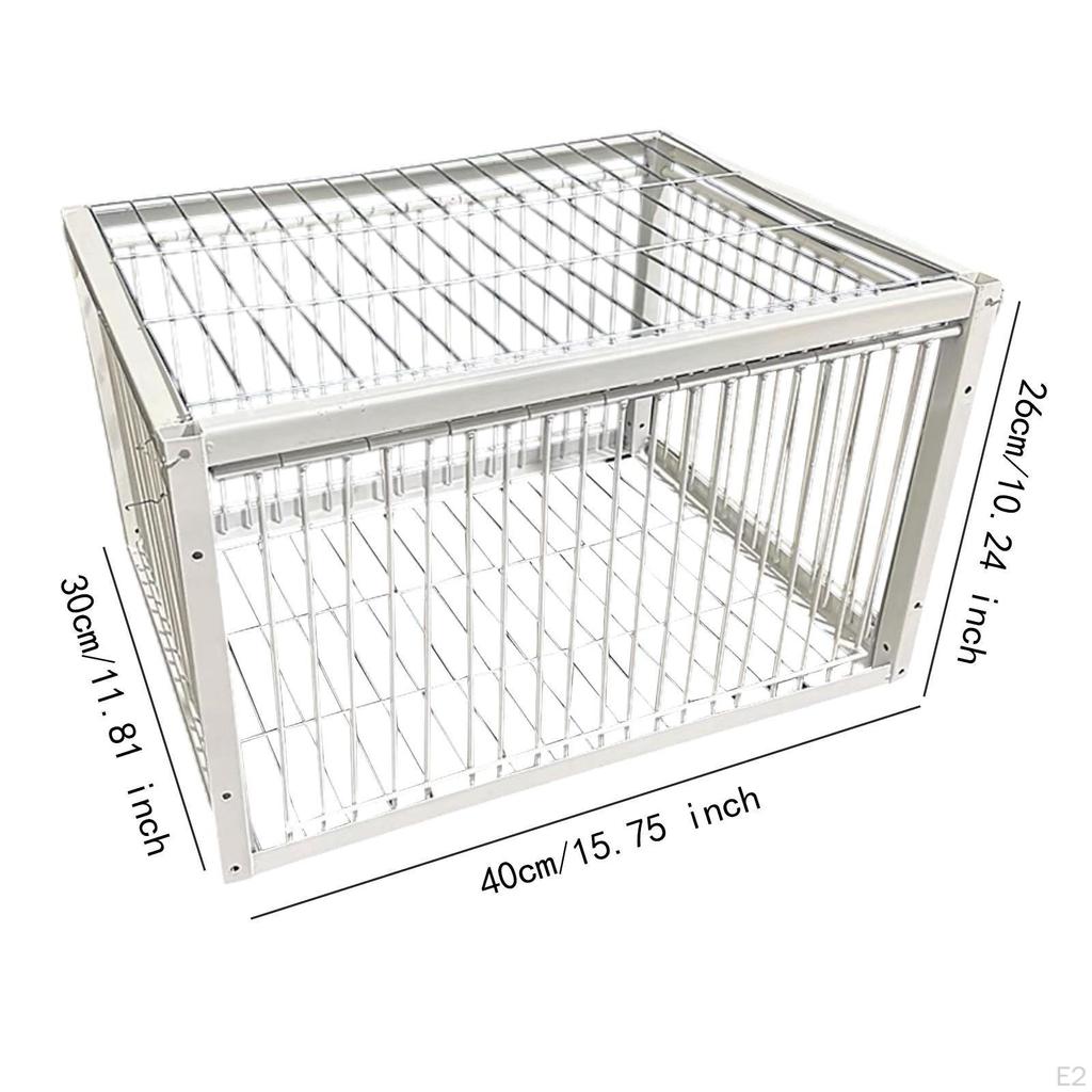 Automatische Taubenfangfalle für Wildvögel und Kardinäle