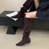2025 autumn and winter new fashionable versatile inner height increase pointed head thin medium tube boots women's shoes long tube straight ride