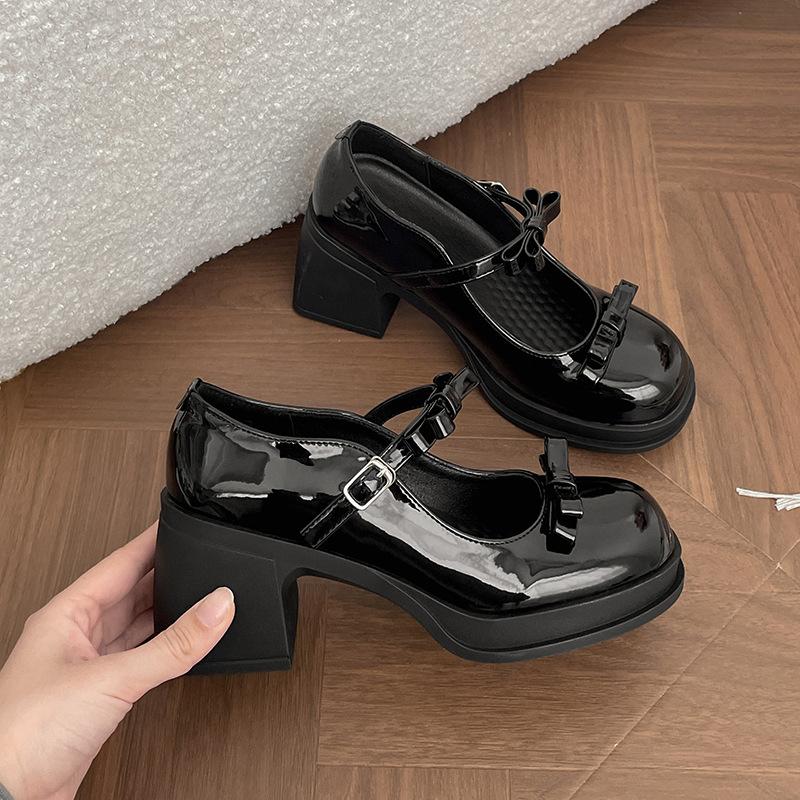 Fashion Black French Thick Heel High Heels Women's Summer 2025 New Heightening Skirt Mary Jane Small Leather Shoes Single Shoes