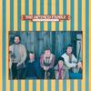 LP Record HOTMUD FAMILY  Meat And Potatoes  Stuff Like That FF251 FLYING FISH 1981 US CountryFolk Used