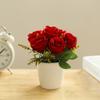 Exquisite Rose Flower Freshing House Plant Natural Potted