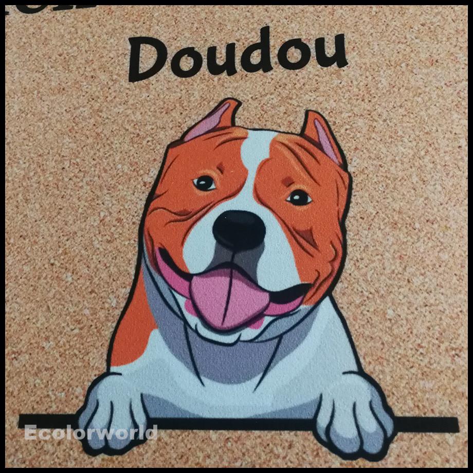 Personalized Pet Mat Custom Welkom Bij Dog Cat Doormat Rug Floor Mats Carpet Home Decor Accessory Pets Owners Lovers Gift