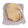 Realistic Sleeping Dog Adorable Sleeping Puppy Children Toys Decorations Gifts for Boys GirlsLabrador