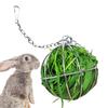 1pc Hanging Hay Ball Feeder Toy Stainless Steel Ball for Rabbits and Small Animals Circular Grass Distributor with Chain