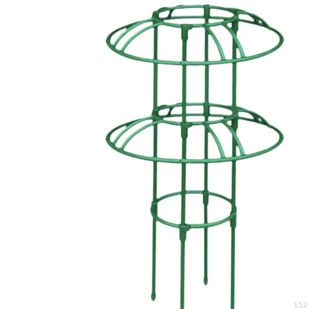 Climbing Frame for Garden Plants Support Structure Outdoor Flowers