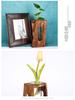 Hydroponic Test Tube Glass Vase: Creative 3D Ornament for Living Room Flower Arrangements - Simple Desktop Decoration