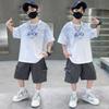 Summer Boys Cotton Suit Japan High Street Fashion Kids Printed T-shirts Shorts 2 Piece Set High Quality Children's Set