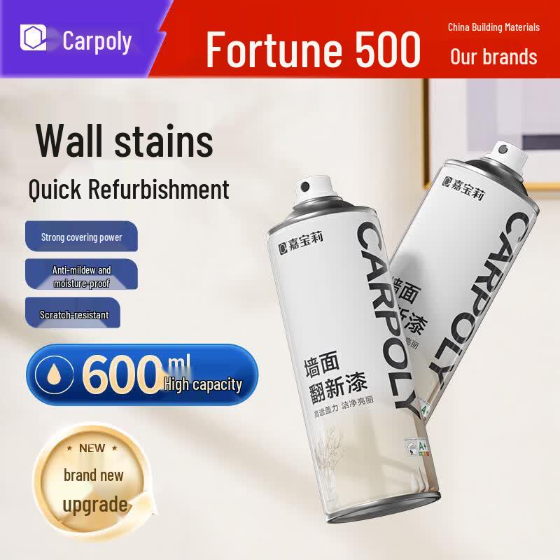 Carpoly Wall Repair Spray Paint