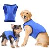 Gilet Raffreddante per Cani Traspirante Estate Rete Ghiaccio Pettorina per Animali Domestici Portatile Raffreddamento Istantaneo Cappotto per Cucciolo Sport all'Aperto Passeggiate Spiaggia