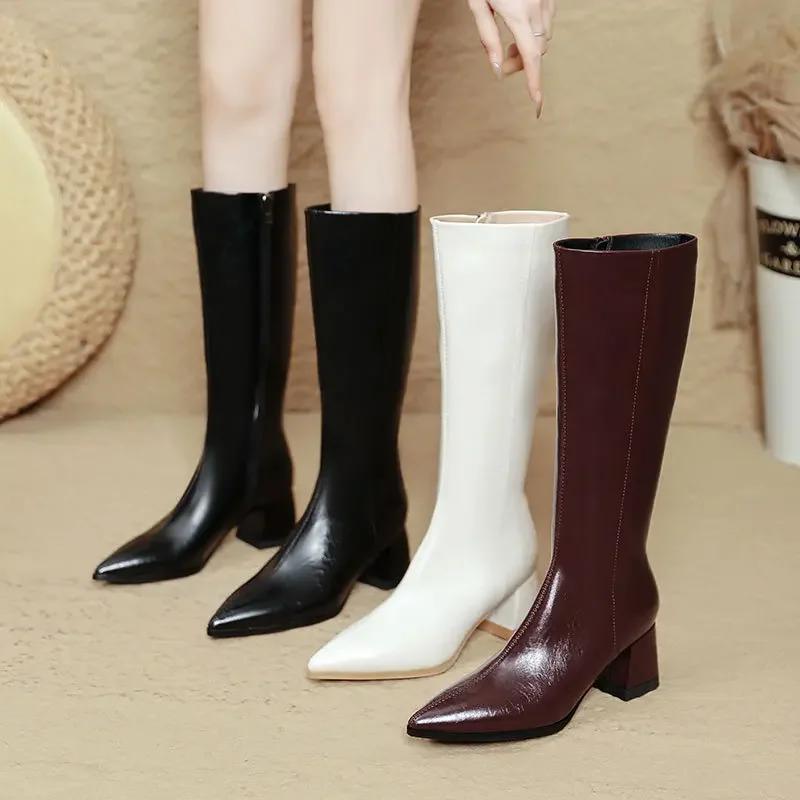 Fashion High Heels But Knee Boots Women's New Autumn and Winter Pointed High Boots Large Size Thick Heel Thin Boots