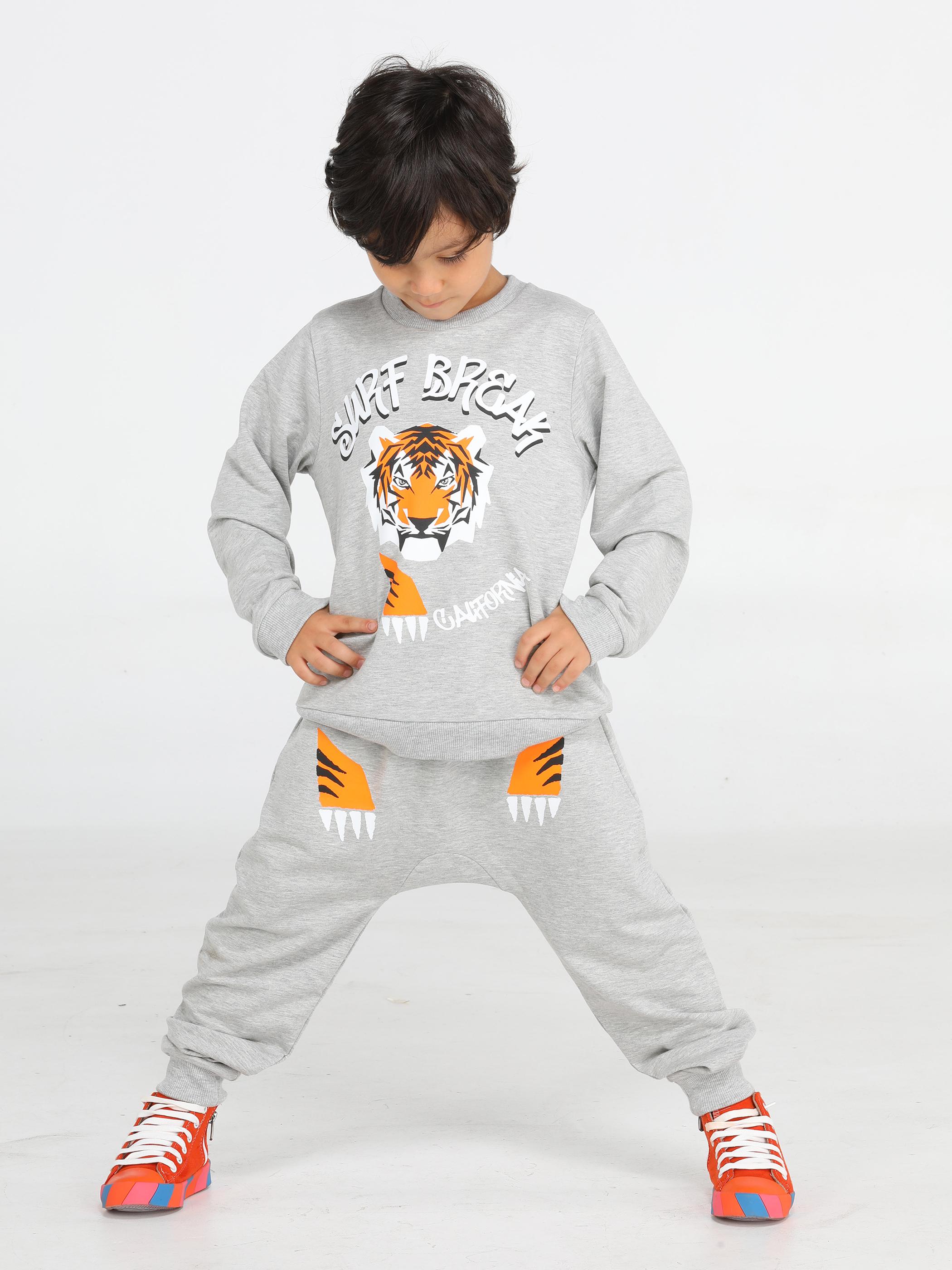 

Tiger Gri Erkek Çocuk Eşofman Takım 3 Yaş сірий