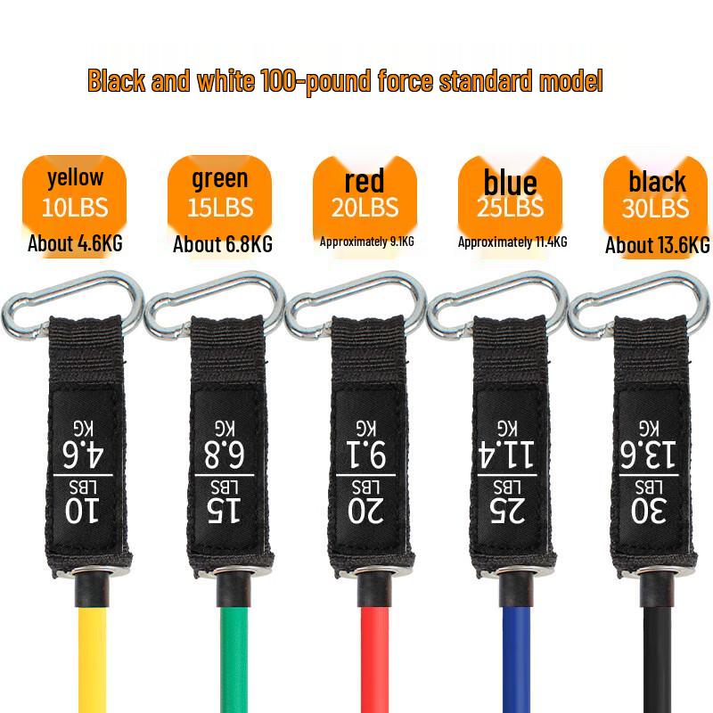 Zhizhou Multi-functional Resistance Band Training Set