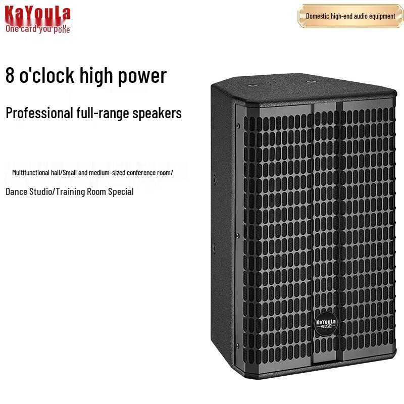 

KaYouLa KYL-208 Passive 8-inch Full-Range Speaker CN plug (adapter included)
