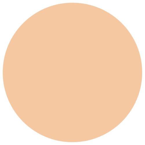 DHC Medicated Acne Care Concealer (Natural Ocher 01)