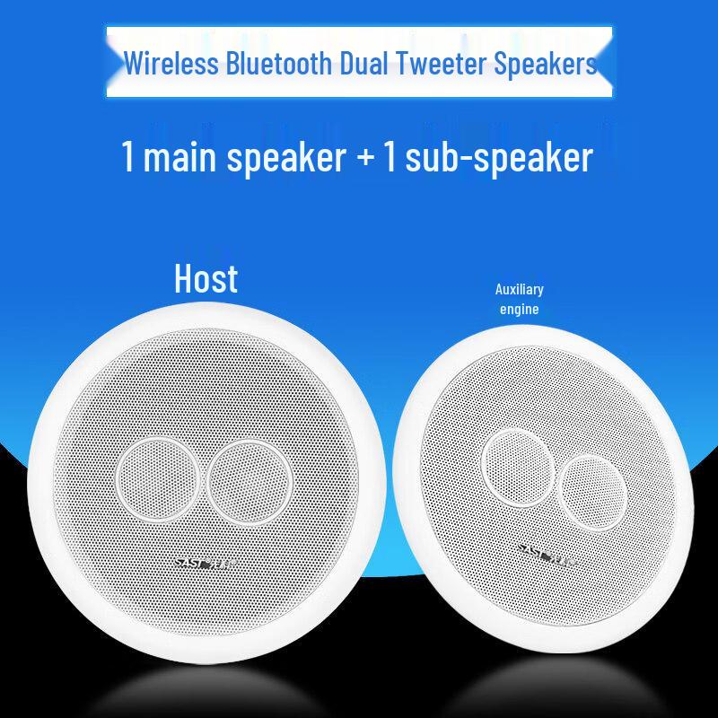 SAST HiFi Public Address Ceiling/Wall Speaker System (CN version)