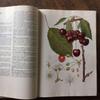 [USED] Foreign books, Czech botanical encyclopedias, vintage books, botanical art