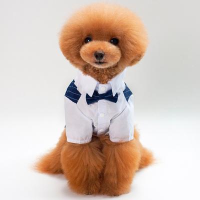 Frühlings- und Sommerkollektion: Neue Hundebekleidung, Anzug, Kleid, Teddy Fadou Hochzeitskleidung, modischer gestreifter Hundeanzug
