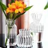 Nordic Creative Transparent Vases Striped Glass Vases Hydroponic Planter for Home Decor Plant Lover Gift Flower Table Vase