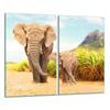 GLASS CUTTING BOARD 2x 30x52 ELEPHANT
