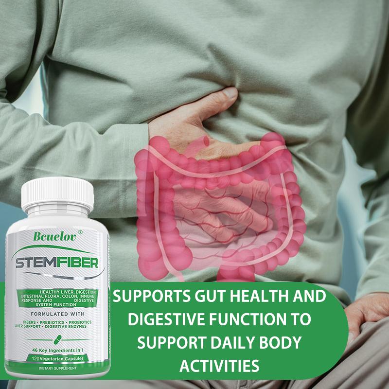 Probiotics, Digestive Enzymes, Gut Health Supplements, 120 Capsules