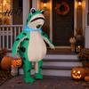 Costume Gonfiabile Rana Gonfiaggio Rapido per Adulti Tuta Gonfiabile con Soffiatore a Batteria Cartone Animato Verde Outfit Halloween Cosplay Festa