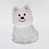 Pet Hair Memorial Keychain Pet Hair Preservation Bottle Transparent Synthetic Resin Engraved Pet Memory Jar
