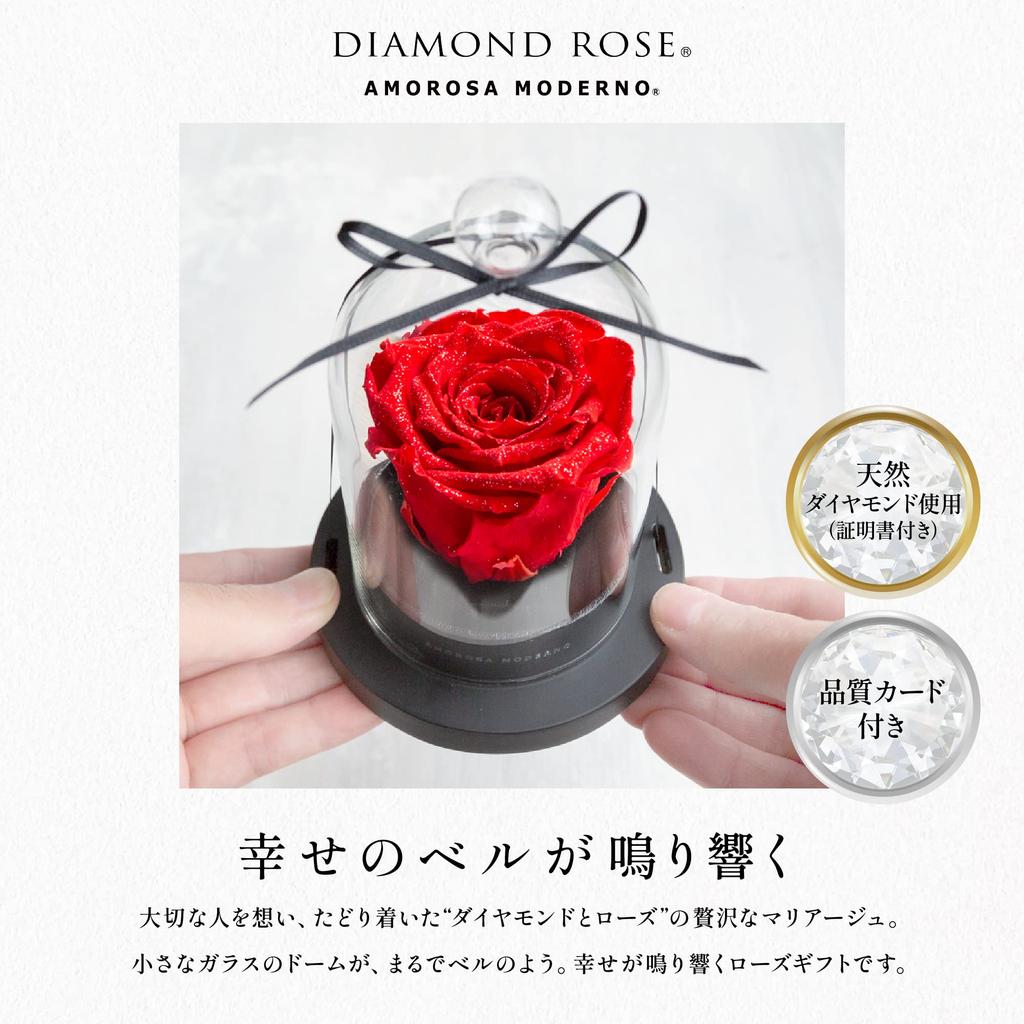 AMOROSA Preserved Flowers, Diamond Rose, Little Bell, Bright Red Rose, Gift, Flowers, Birthday, Wedding, Anniversary, Proposal, Dried Flowers, AM19-30