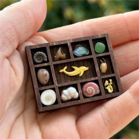 Miniature Trinket Shelf Gem Mini Collectibles Display Shelf Miniatures Organizer Shelf for Gems Shells Crystals Mini Figures