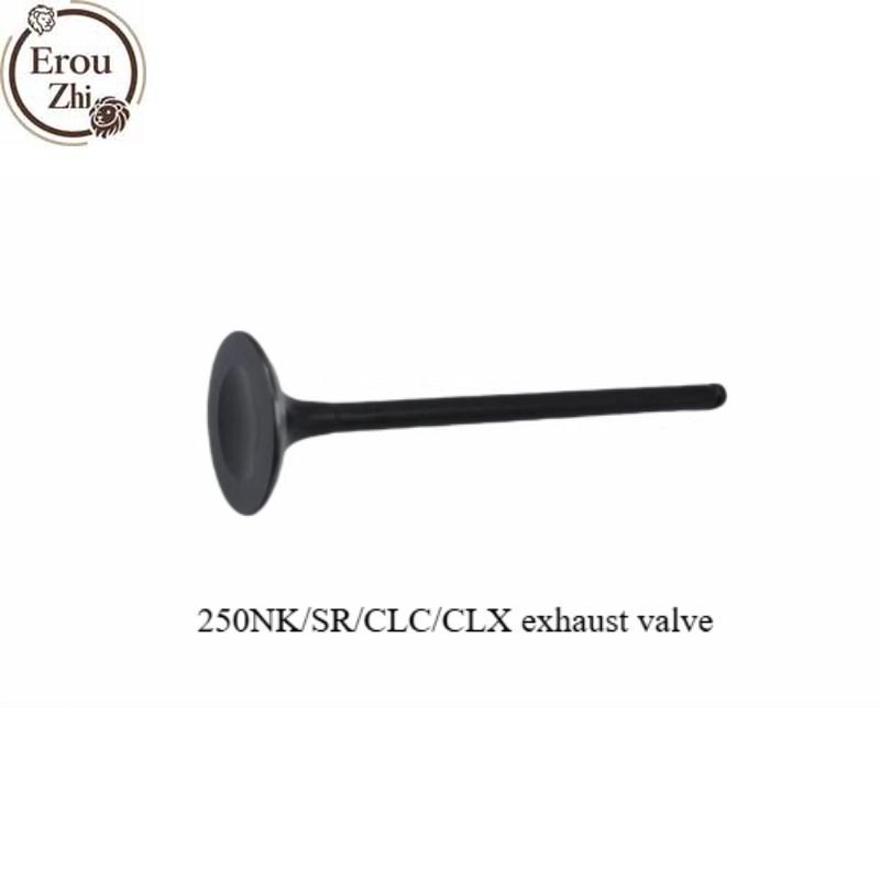 Suitable for CF250-6 Intake and Exhaust Valves 25ONK/SR/CLC/CLX Exhaust Valves Intake Valves