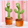 Dancing Cactus Twisting Cactus Twisting Zpívání Tanec k narozeninám