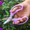 Professional Bonsai Scissors Garden Scissors Floral Shears Professional Flower Scissor Comfortable Grip Handle Pruning Shear