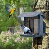 Solar Powered Outdoor Smart AI Recognition Bird Feeder with Camera